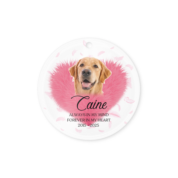 Custom Photo Pet Fur Acrylic Ornament - Personalized Pet Memorial Sympathy Gifts For Dogs, Cats, Loss Of Dog - Always In My Heart